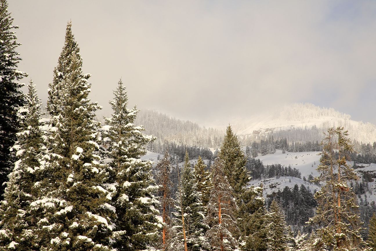 Cloud covered peak